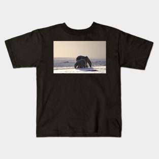 Golden Glow. Polar Bears at Sundown, Churchill, Canada (Please read description) Kids T-Shirt